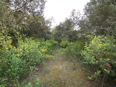 Terrain, 8 914 m²