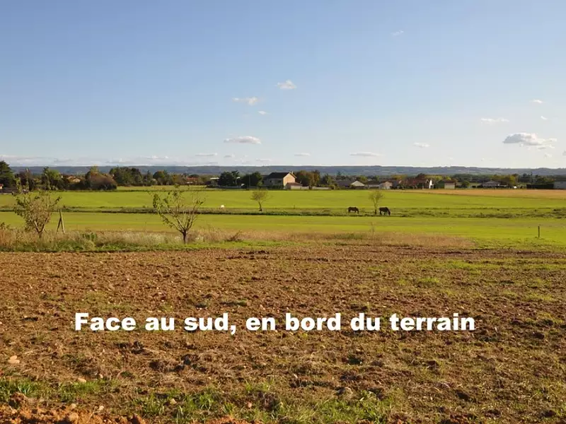 Terrain, 1 000 m²