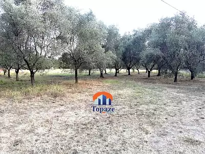 Terrain, 710 m²