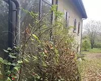 Maison, 246 m²