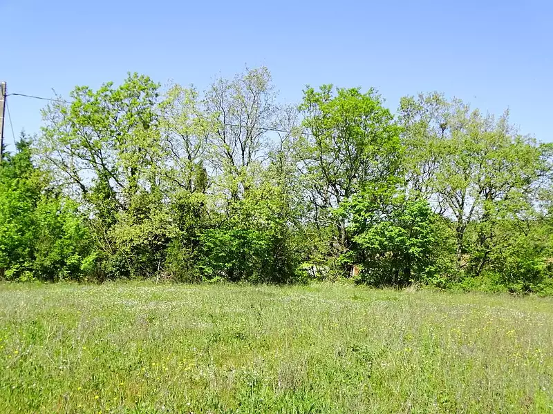 Terrain, 3 048 m²