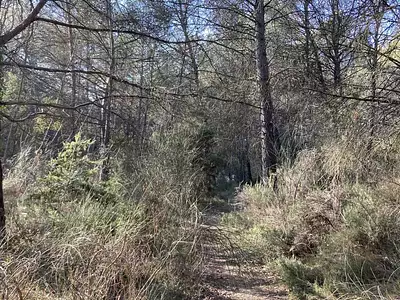 Terrain, 25 775 m²