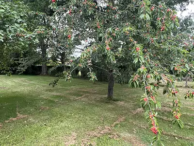 Maison, 82 m²