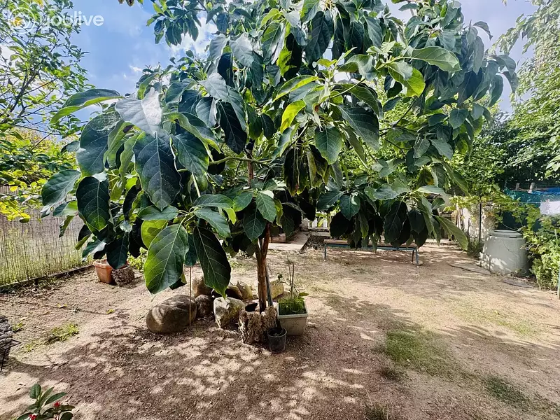 Appartement, 45,01 m²