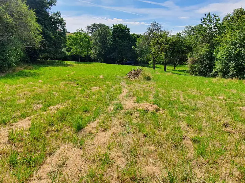 Terrain, 3 902 m²