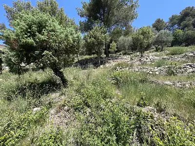 Terrain, 2 452 m²