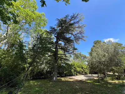 Maison, 300 m²
