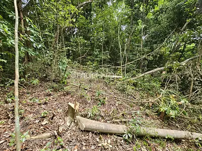 Terrain, 3 578 m²