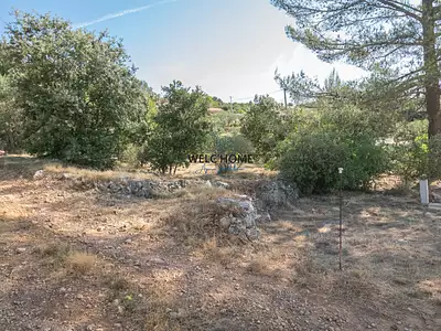 Terrain, 831 m²