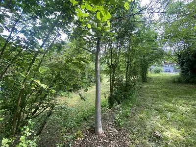 Maison, 82 m²