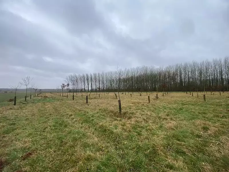 Terrain, 12 000 m²
