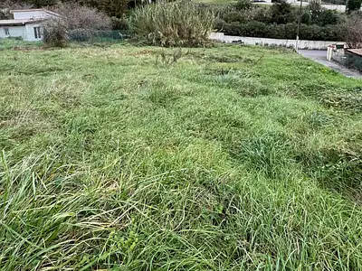 Terrain