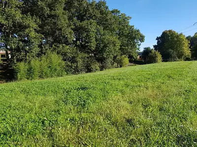 Terrain, 9 880 m²