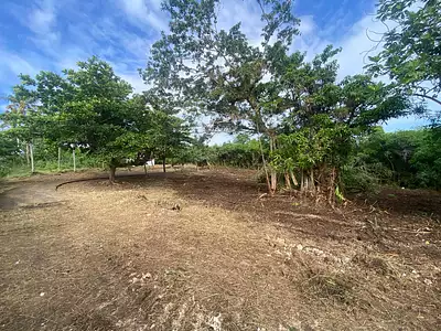 Terrain, 1 000 m²