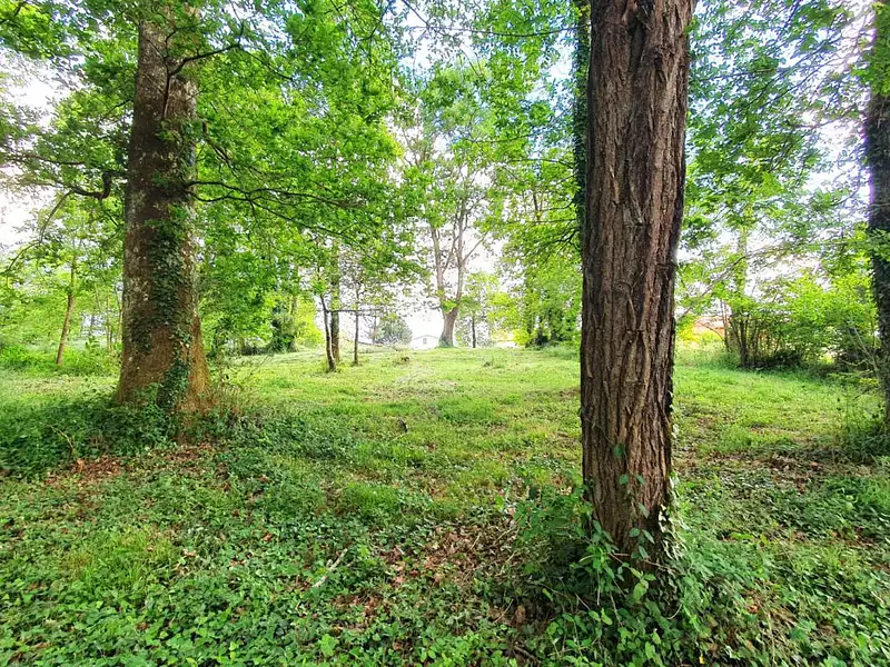 Terrain, 2 390 m²