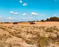 Terrain