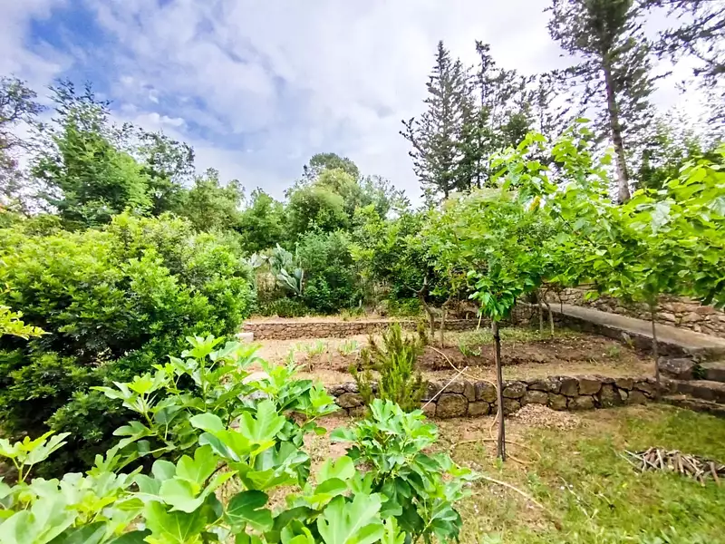 Terrain, 705 m²