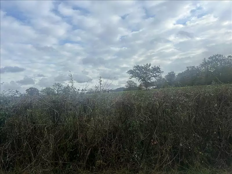 Terrain, 137 519 m²