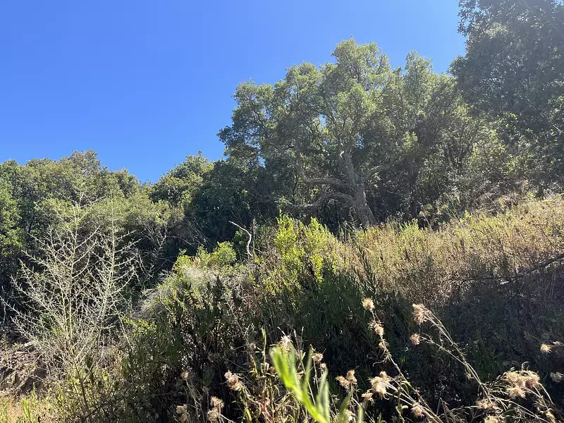 Terrain, 8 400 m²