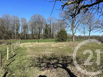Maison, 55,3 m²