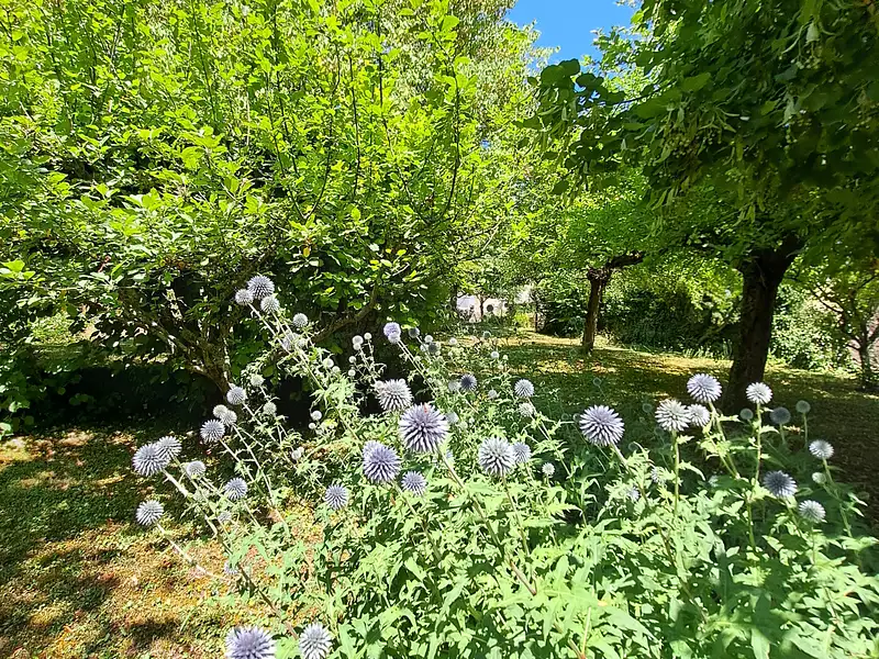 Maison, 59 m²