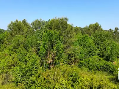 Terrain, 12 527 m²