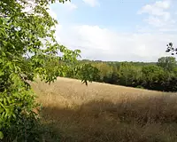 Terrain, 4 911 m²