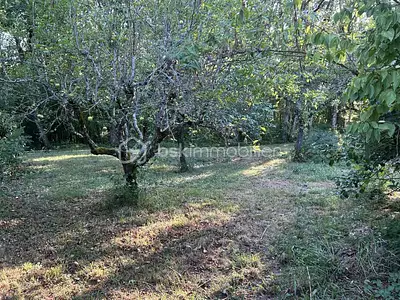 Maison, 128 m²