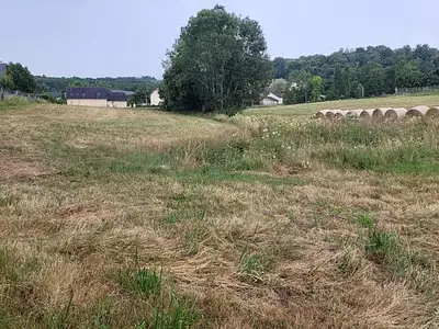 Terrain, 995 m²