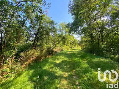 Terrain, 145 689 m²