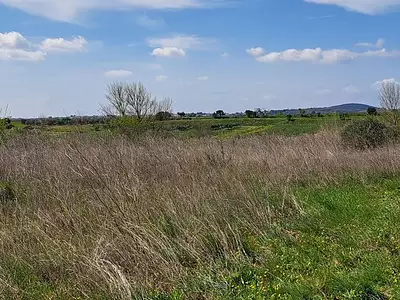 Terrain, 7 530 m²