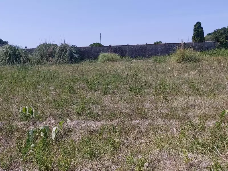 Terrain, 2 950 m²