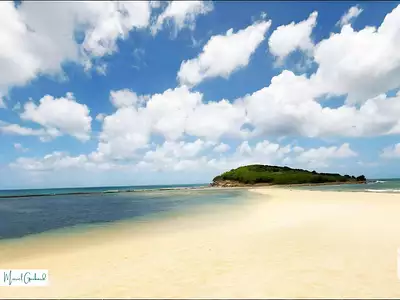 Terrain