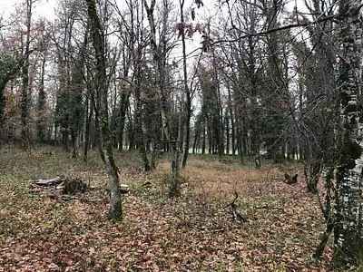 Terrain, 2 597 m²