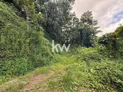 Terrain, 1 622 m²