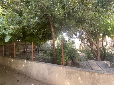 Maison, 80 m²