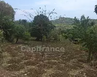 Terrain, 6 969 m²
