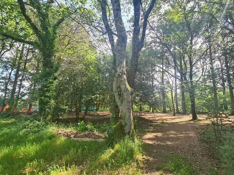 Terrain, 40 920 m²