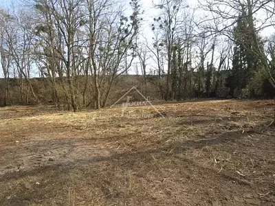 Terrain, 5 019 m²