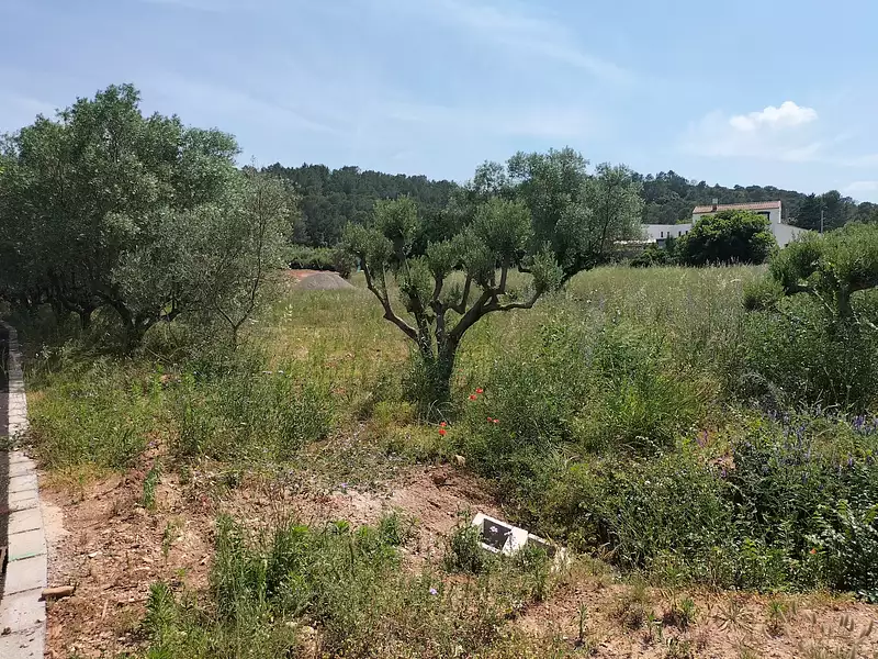 Terrain, 2 008 m²