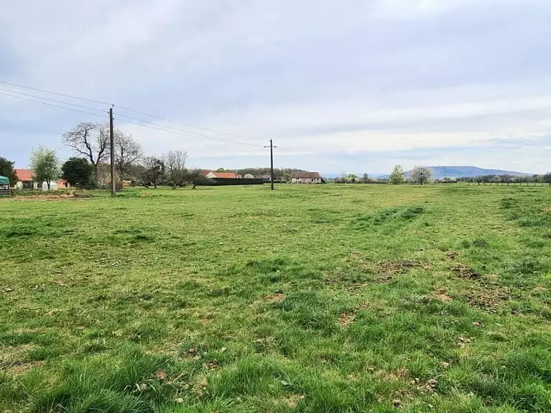 Terrain, 1 175 m²