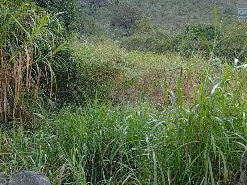 Terrain