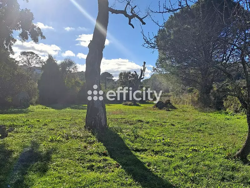Terrain, 4 023 m²