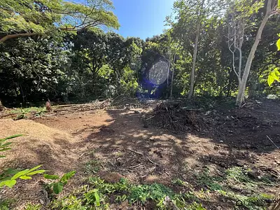 Terrain, 1 136 m²