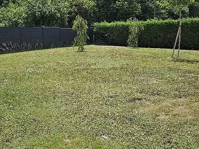 Terrain