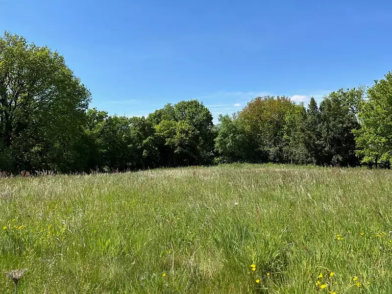 Terrain, 1 667 m²