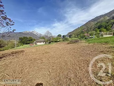 Terrain