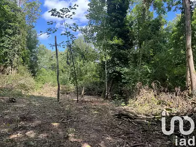 Terrain, 1 208 m²