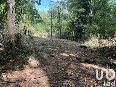 Terrain, 1 208 m²