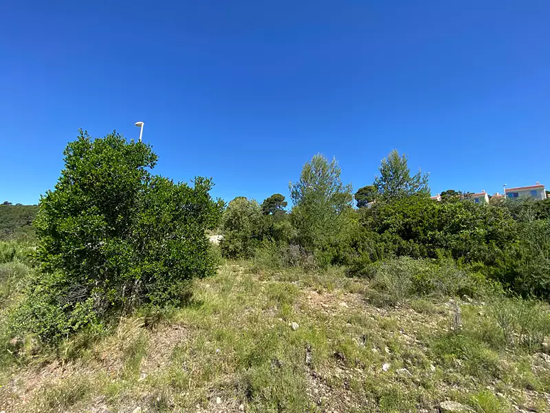 Terrain, 1 560 m²